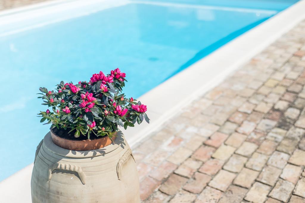 B&B Villa Casone Fossacesia Eksteriør billede